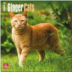 Ginger cats 2014 gebraucht kaufen  Wird an jeden Ort in Deutschland