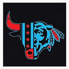 Chicago bull blackhawk for sale  Delivered anywhere in USA 