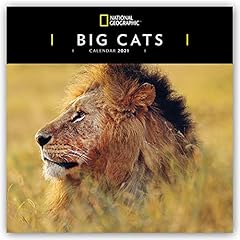 Wwf big cats for sale  Delivered anywhere in UK