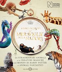 Animali fantastici. meraviglie usato  Spedito ovunque in Italia 