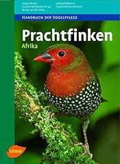 Prachtfinken afrika gebraucht kaufen  Wird an jeden Ort in Deutschland