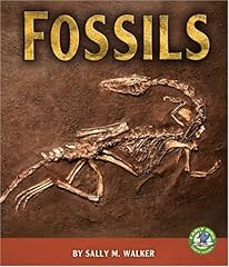 Fossils for sale  Delivered anywhere in USA 