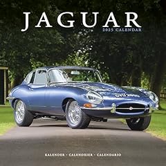 Jaguar 2025 square usato  Spedito ovunque in Italia 