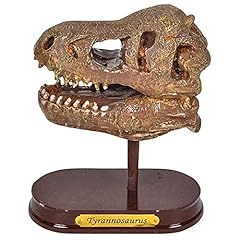 Artcreativity dinosaur excavat for sale  Delivered anywhere in USA 