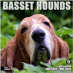 Red ember basset for sale  Delivered anywhere in USA 