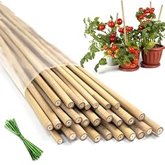Plant stakes 20pcs for sale  Delivered anywhere in USA 