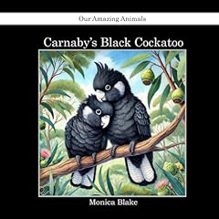 Carnaby black cockatoo for sale  Delivered anywhere in UK