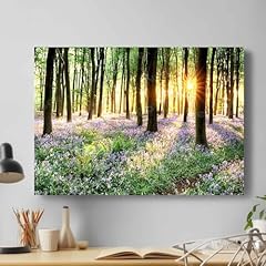Bluebells forest sunlight for sale  Delivered anywhere in UK