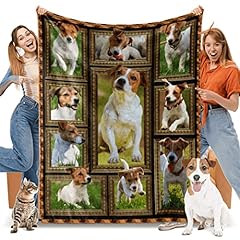 Jack russell terrier for sale  Delivered anywhere in UK