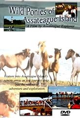 Wild ponies assateague for sale  Delivered anywhere in USA 