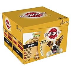 Pedigree adult dog for sale  Delivered anywhere in UK