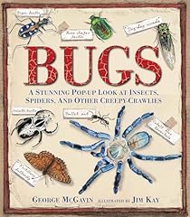 Bugs stunning pop for sale  Delivered anywhere in USA 