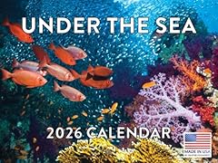 Sea fish calendar for sale  Delivered anywhere in UK