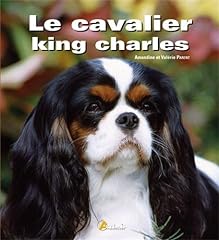 Cavalier king charles d'occasion  Livré partout en Belgiqu