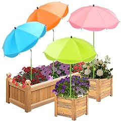 Pack upgraded plant for sale  Delivered anywhere in USA 