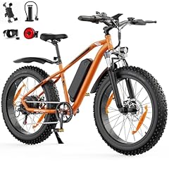 Aoiho bici elettrica usato  Spedito ovunque in Italia 