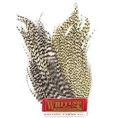 Whiting farms whiting for sale  Delivered anywhere in USA 