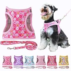 Moonpet step dog for sale  Delivered anywhere in USA 