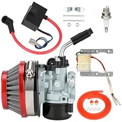 Ciloyu motorized bike for sale  Delivered anywhere in USA 