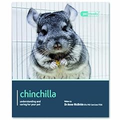 Chinchilla. d'occasion  Livré partout en Belgiqu