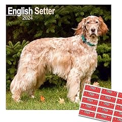 English setter calendar for sale  Delivered anywhere in Ireland