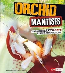Orchid mantises extreme for sale  Delivered anywhere in UK