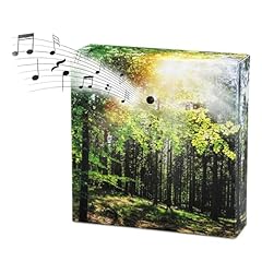 Soundbox con canto usato  Spedito ovunque in Italia 