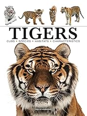 Tigers usato  Spedito ovunque in Italia 