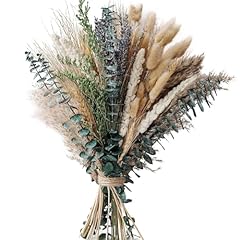 Pcs natural dried for sale  Delivered anywhere in UK