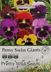 Pansy swiss giants for sale  Delivered anywhere in UK