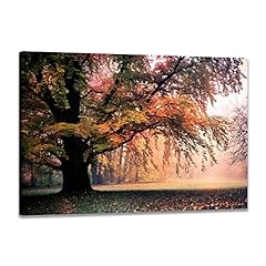 Fall wall art for sale  Delivered anywhere in USA 
