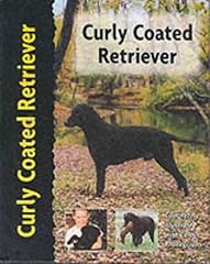 Curly coated retriever for sale  Delivered anywhere in UK
