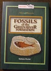 Fossils green river for sale  Delivered anywhere in USA 