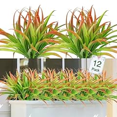 Dremisland lot plantes d'occasion  Livré partout en France