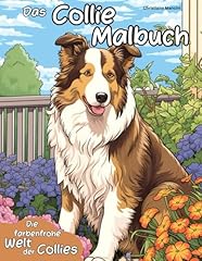 Collie malbuch farbenfrohe gebraucht kaufen  Wird an jeden Ort in Deutschland
