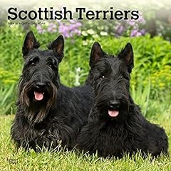 Scottish terriers 2024 gebraucht kaufen  Wird an jeden Ort in Deutschland