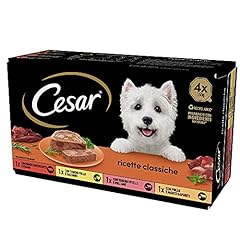 Cesar ricette classiche usato  Spedito ovunque in Italia 