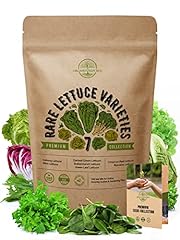 Lettuce seeds variety for sale  Delivered anywhere in USA 