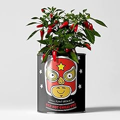 Chilli plant luxury for sale  Delivered anywhere in UK