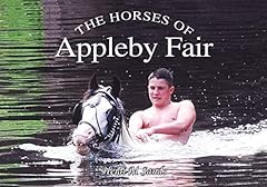 Horses appleby fair for sale  Delivered anywhere in Ireland