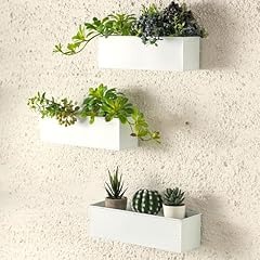 Lalagreen wall planter for sale  Delivered anywhere in USA 