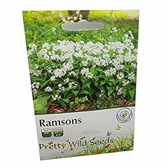 Ramsons wild garlic for sale  Delivered anywhere in UK