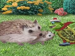 Save hedgehog save for sale  Delivered anywhere in USA 