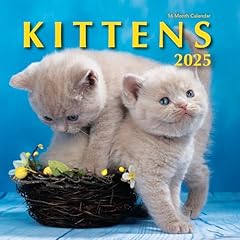 Kittens 2025 hangable for sale  Delivered anywhere in USA 