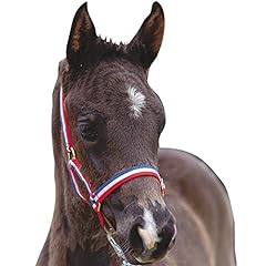 Roma foal headcollar for sale  Delivered anywhere in UK
