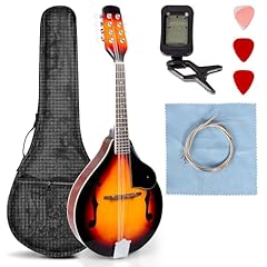 Lomuty style mandolin for sale  Delivered anywhere in USA 