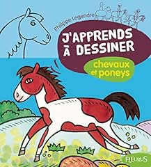 Chevaux poneys d'occasion  Livré partout en Belgiqu