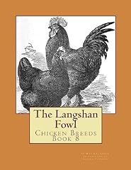 Langshan fowl chicken for sale  Delivered anywhere in UK
