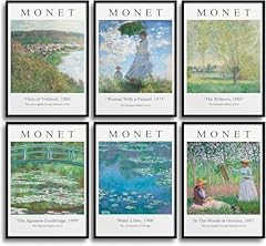 Monoko monet set usato  Spedito ovunque in Italia 