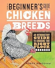 Beginner guide chicken for sale  Delivered anywhere in USA 